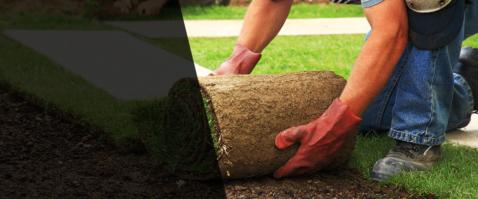 Kaysville Landscapers